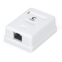 Cabeus WS-8P8C-Cat.6-SH-1   RJ-45(8P8C),  6, , , , Dual IDC