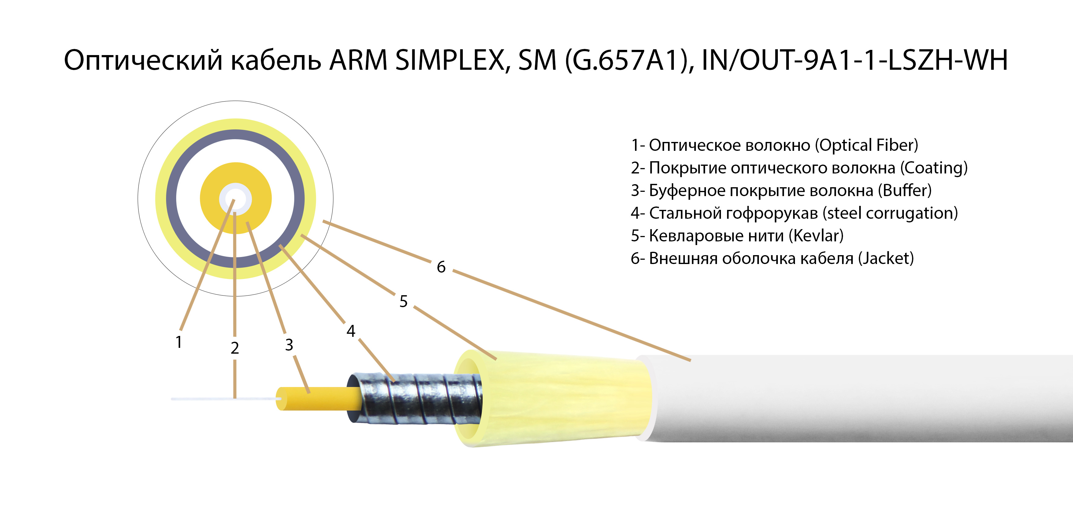  -ARM-3,0-LC/APC-SC/UPC-SM-LSZH    simplex
